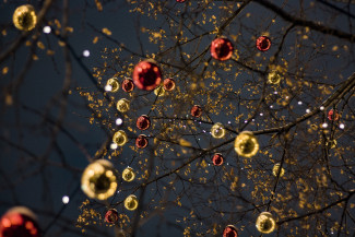 Kugeln im Baum
