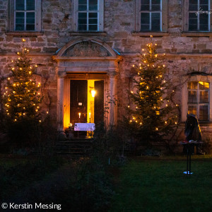 Christbäume vor dem Schloss